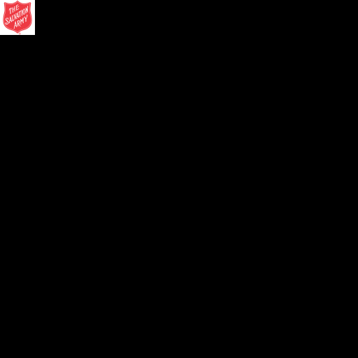 Twin Cities Advisory Board Website